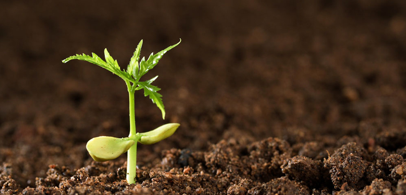 G8全自動(dòng)石墨消解儀對(duì)土壤中汞、砷測定的消解案例